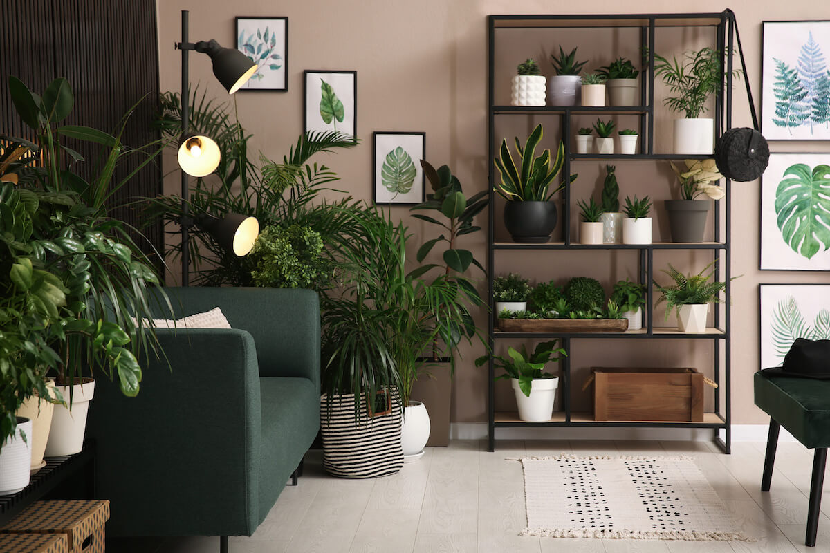 Greenscape Creation 